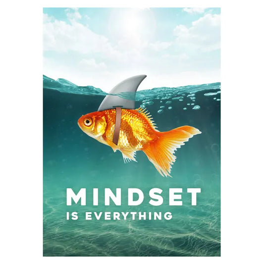 MINDSET - BIG FIN GOLDFISH